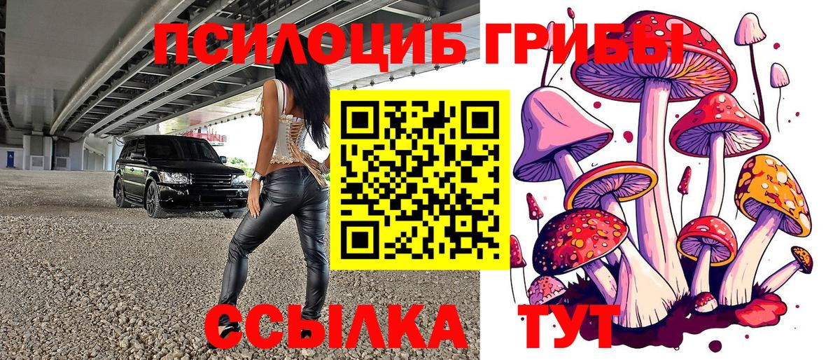 Галлюциногенные грибы GOLDEN TEACHER Альметьевск