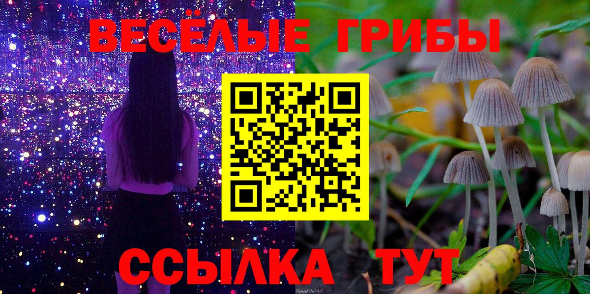 Галлюциногенные грибы прущие грибы  Вход с VPN  цена   Альметьевск 